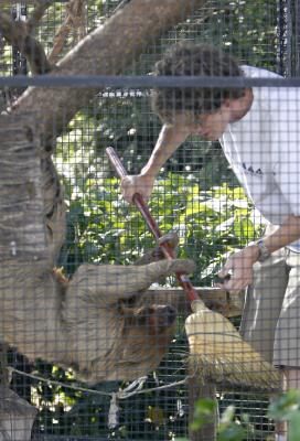 Moody Gardens reopens despite Ike damage