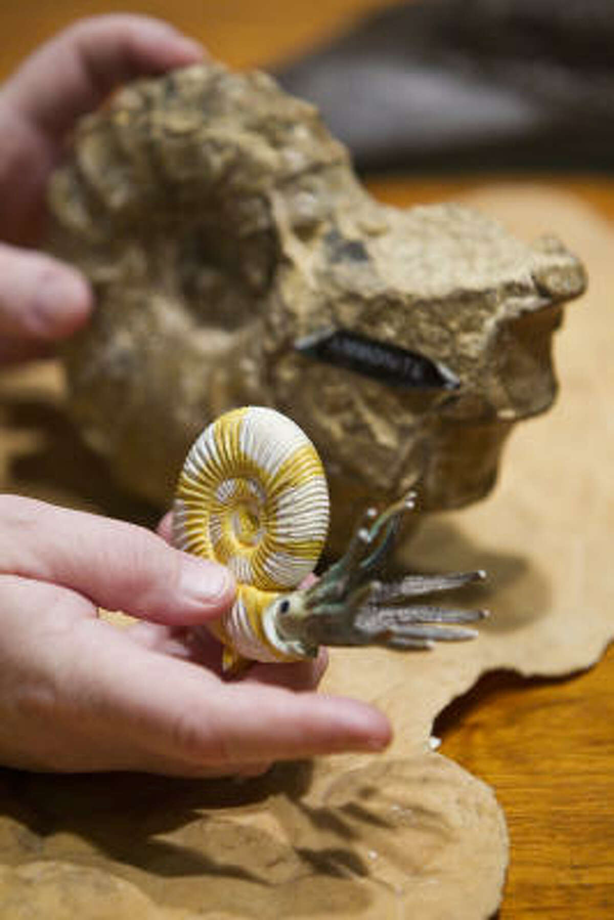 Bones of 26 dinosaurs coming to Houston museum