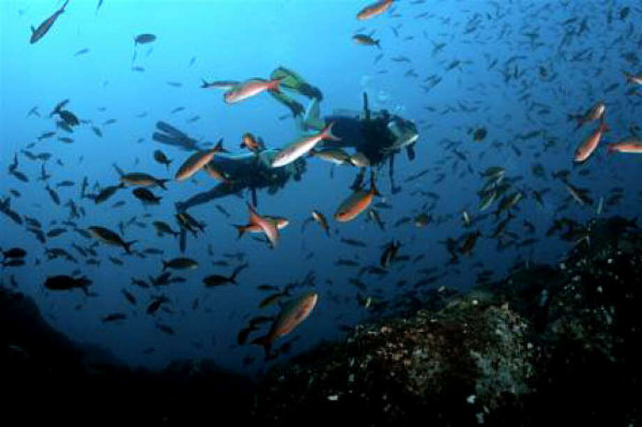 Texas Scuba Sites Keep Divers Happy Houston Chronicle