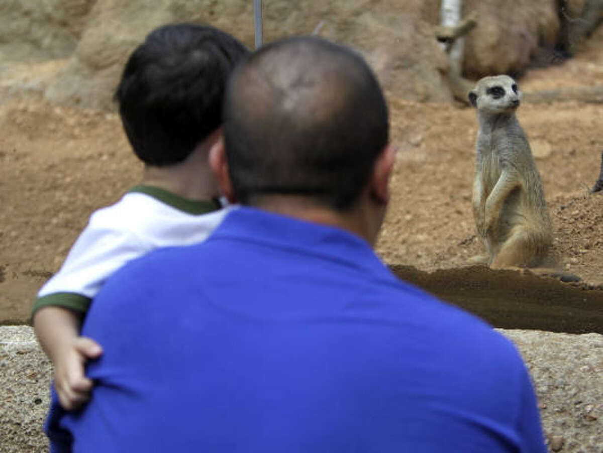 Houston Zoo moves free days to Tuesdays