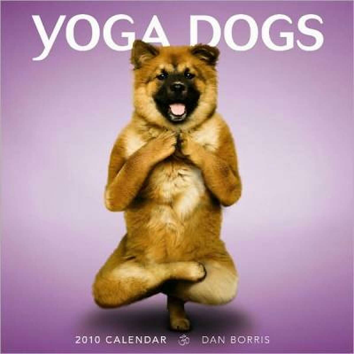 The Yoga Dogs calendar ($13.99)