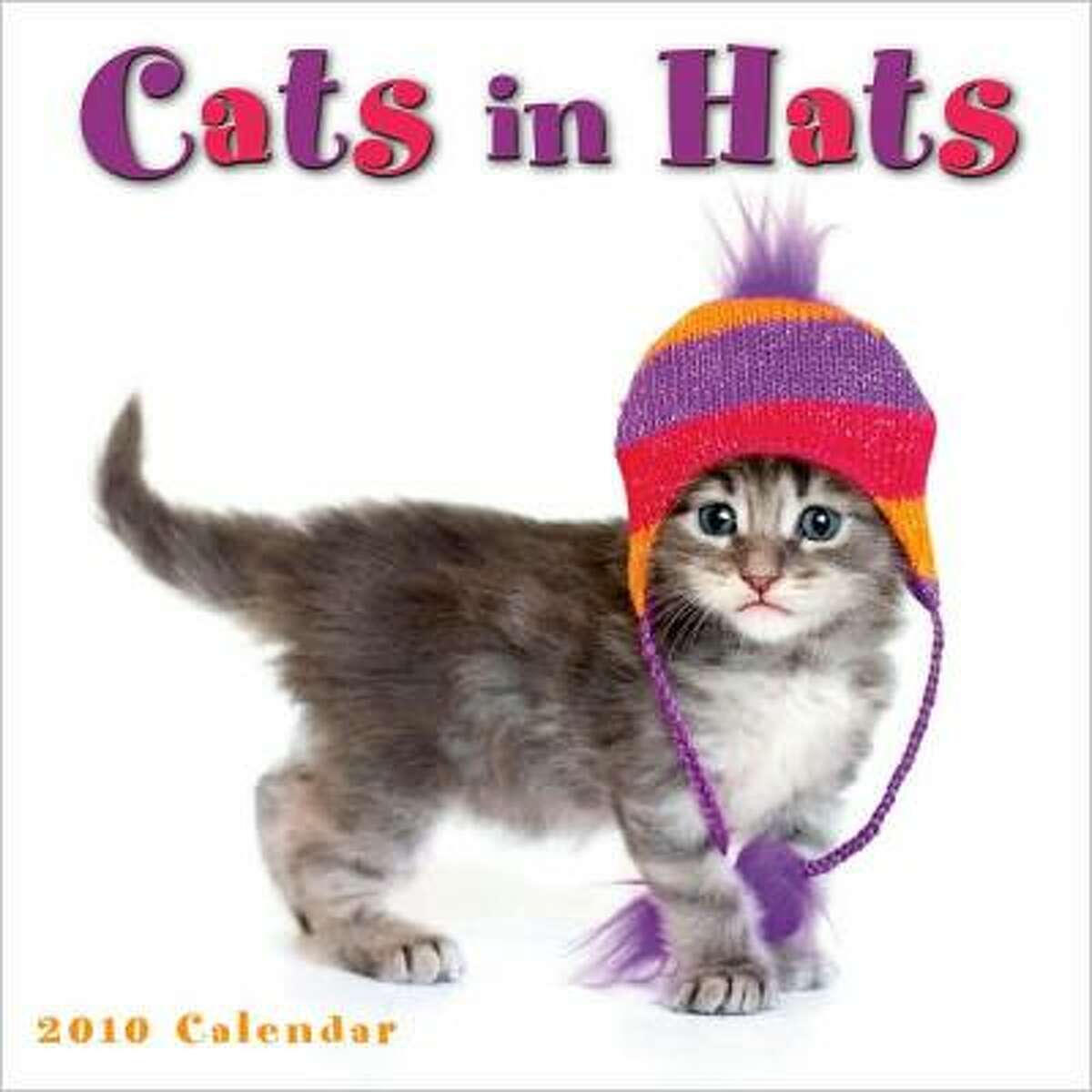 Pets strike a pose for new crop of calendars