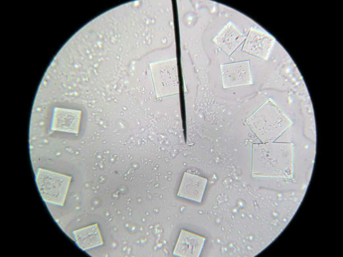 Photo Caption: These microscopic salt crystals were collected from the air over California's Pacific Coast. Photograph by Forrest M. Mims III.