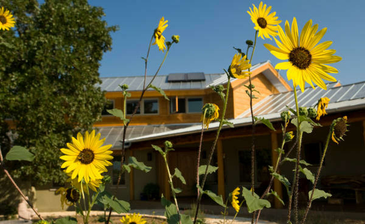 Native trees and flowers surround the Austin home of Laurel Treviño and Carlos Torres-Verdín. The home received a Platinum rating from the U.S. Green Building Council and a 5-star rating from Austin Energy's Residential Green Building Program.