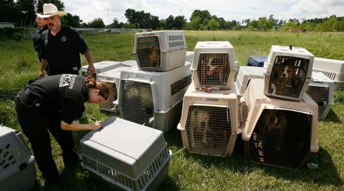 Dead dogs found at north Houston kennel