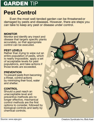 Insect problems are tough to predict from year to year