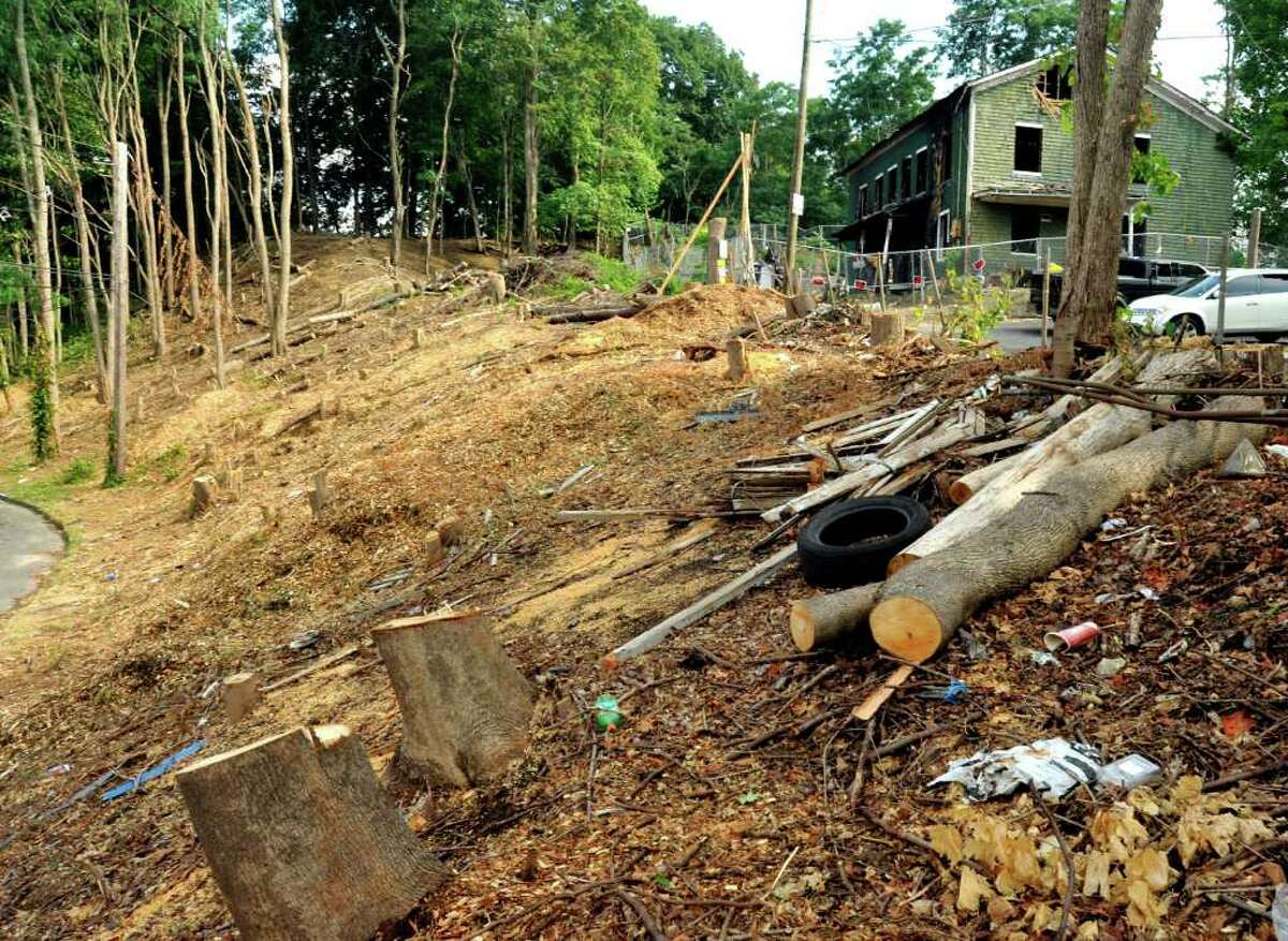 Danbury To Investigate Clear Cutting Of Trees On City Owned Property