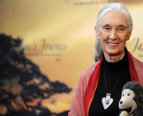 Chimp expert Jane Goodall coming to Houston