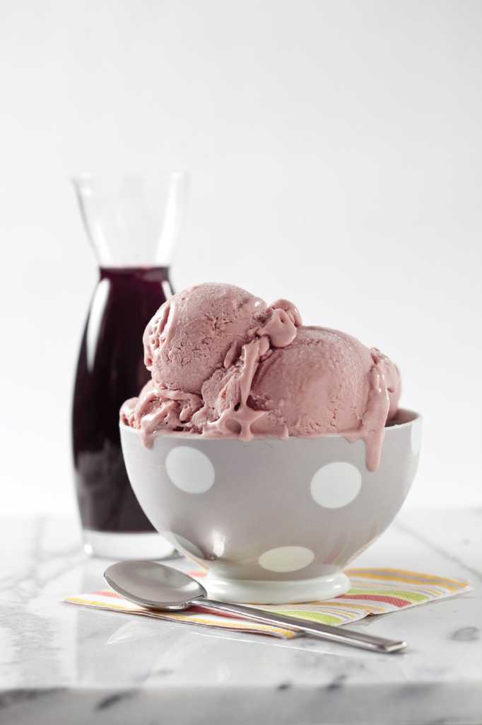 scoop ice cream book