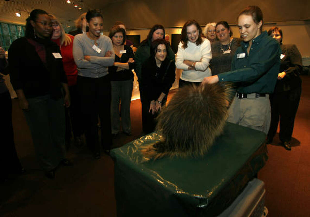 Zookeeper Callian Sheppard introduces Ernie the porcupine to those at a recent BenefitSpecialists compliance seminar at the Houston Zoo.