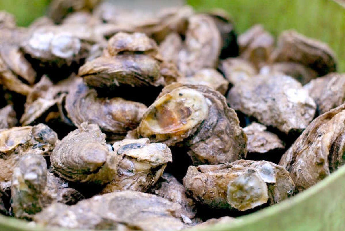 Some legislation will be aimed at improving oyster habitat that is still suffering from the lingering effects of Hurricane Ike.
