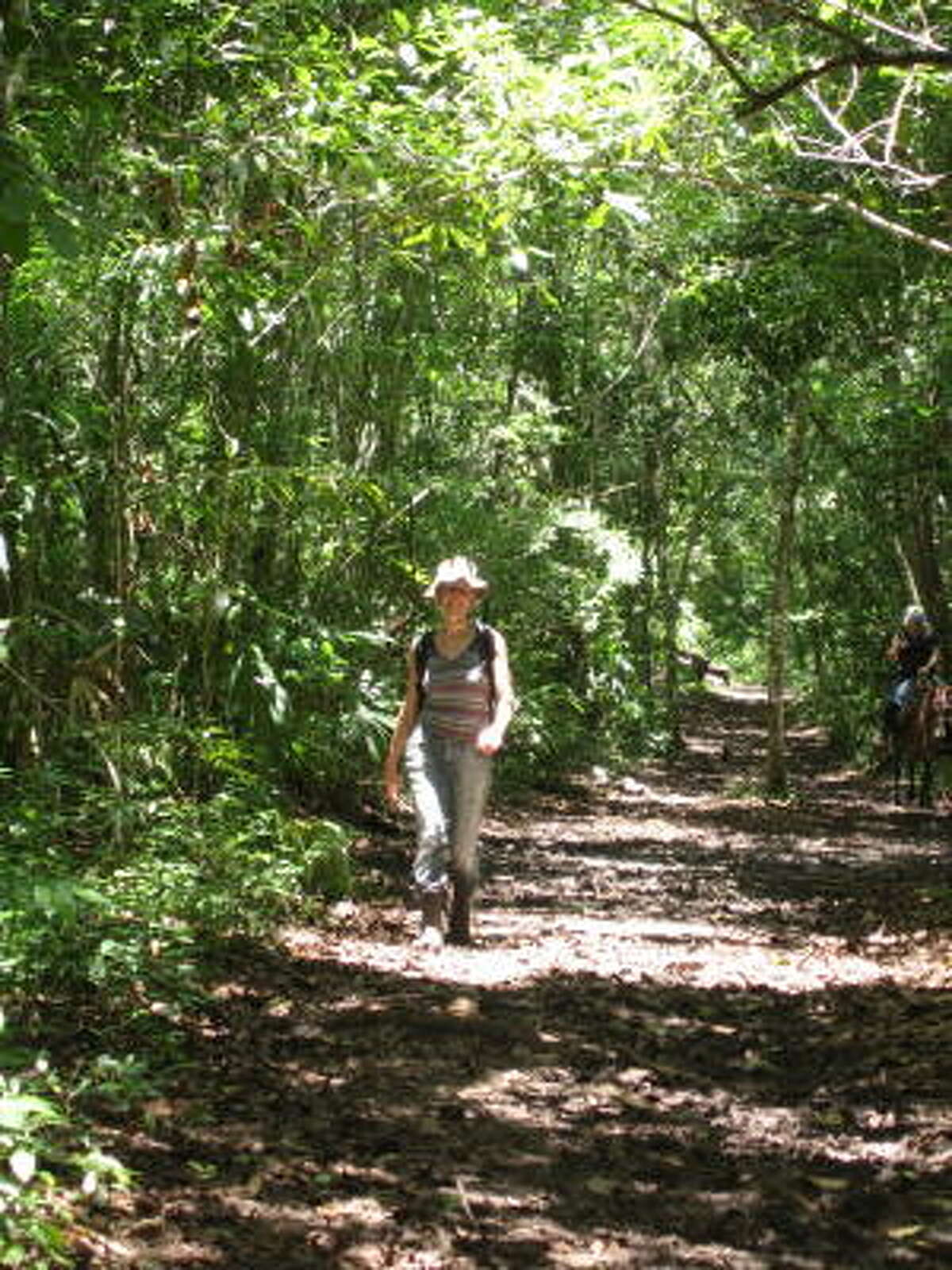 El Mirador: Trekking back in time