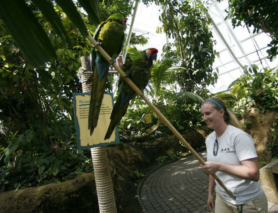 Rainforest Pyramid Reopens Today At Moody Gardens Houston Chronicle