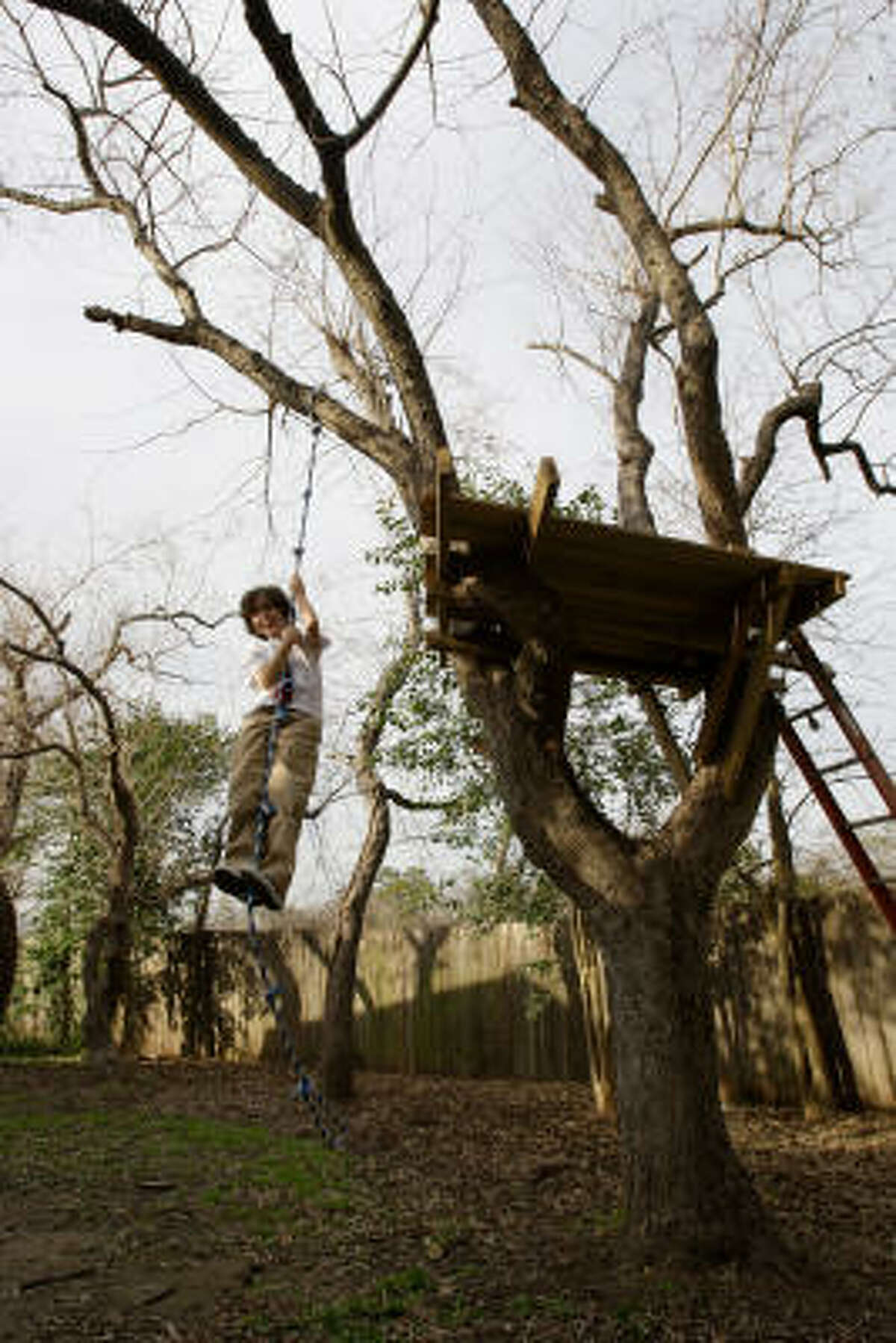 Ben Havlak, 11, son of Houston Chronicle writer Lisa Gray, has a treehouse in a backyard tallow tree. Tallow trees﻿ were once planted in Houston yards as ﻿ornamentals but are now elbowing out native plants﻿.