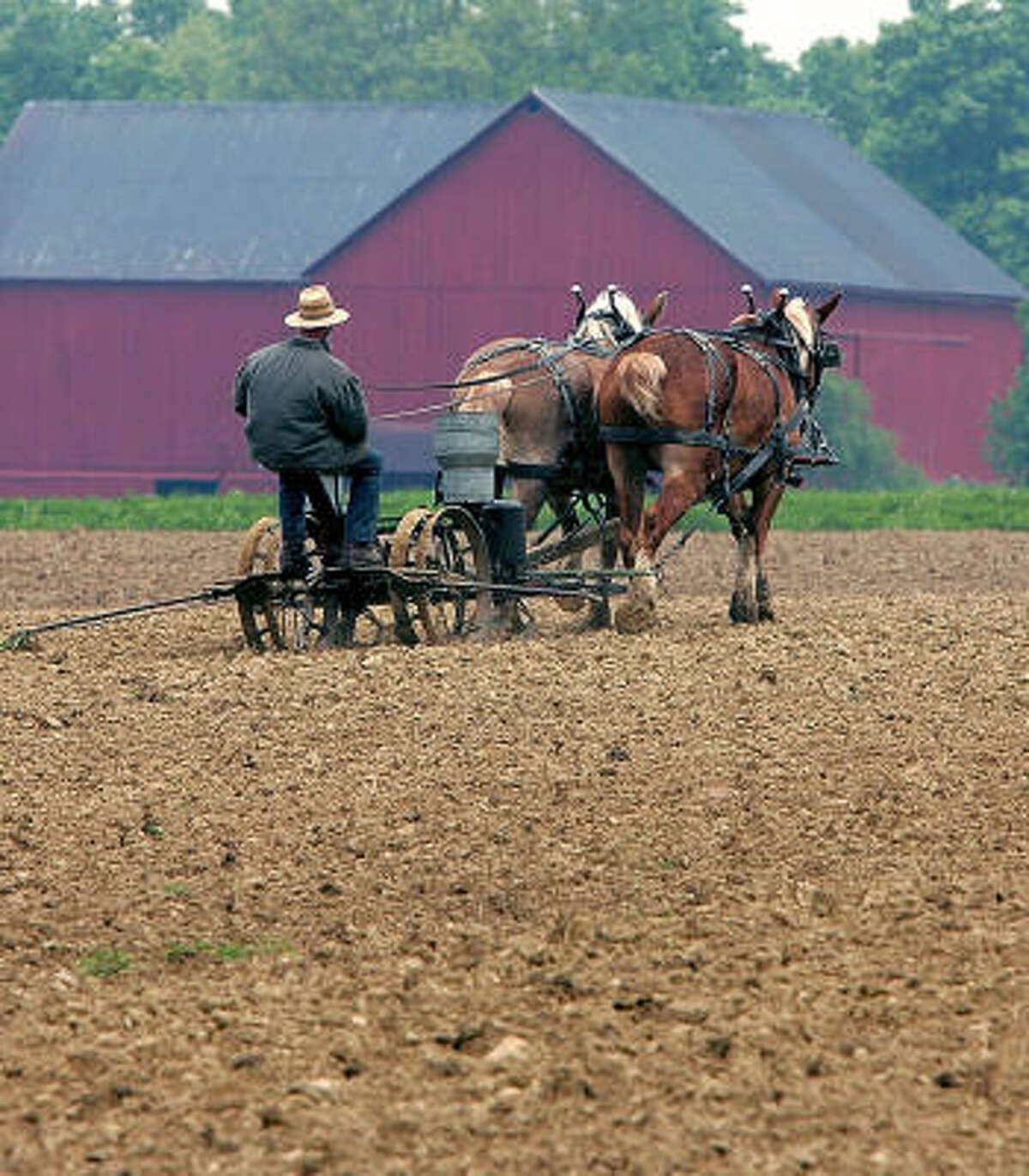 Are There Any Amish Millionaires