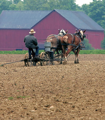 Amish are the new millionaires