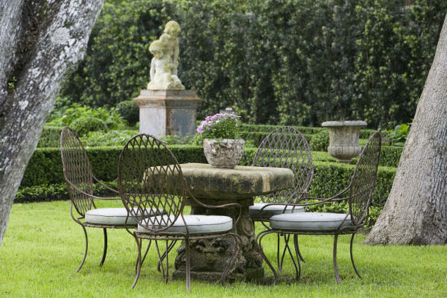 What can I plant to hide my neighbor's ugly yard? Houston Chronicle