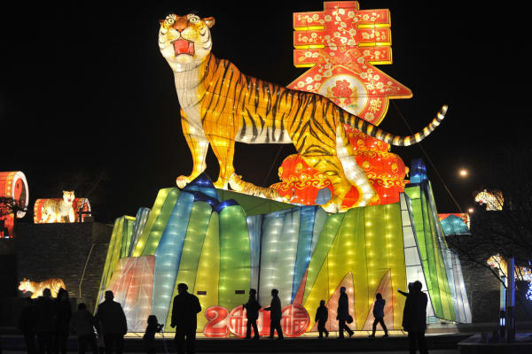 See what the year of the tiger brings