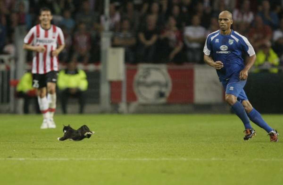 Sibir player Joseph-Reinette Steev, right, chases a cat that ran on the pitch during the Europa League qualifying round soccer match PSV vs. Sibir Novosibirsk in Eindhoven, Netherlands Aug. 26.