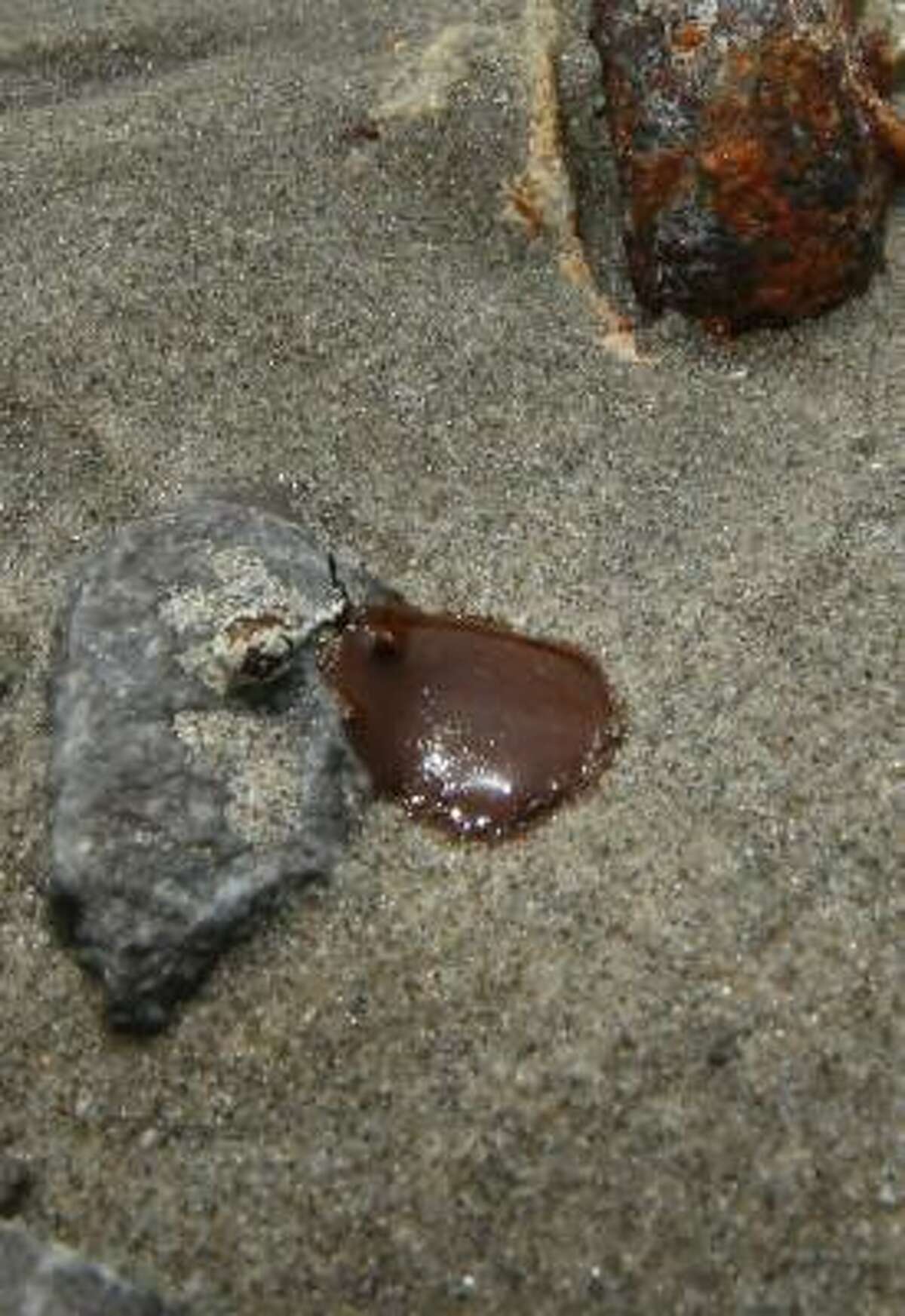 What appears to be a small oil glob is washed ashore at Fourchon Beach as efforts continue to contain BP's massive oil spill on May 13, 2010 in Lafourche Parish, La. The substance is being tested to see if it is from the Deepwater Horizon wellhead.