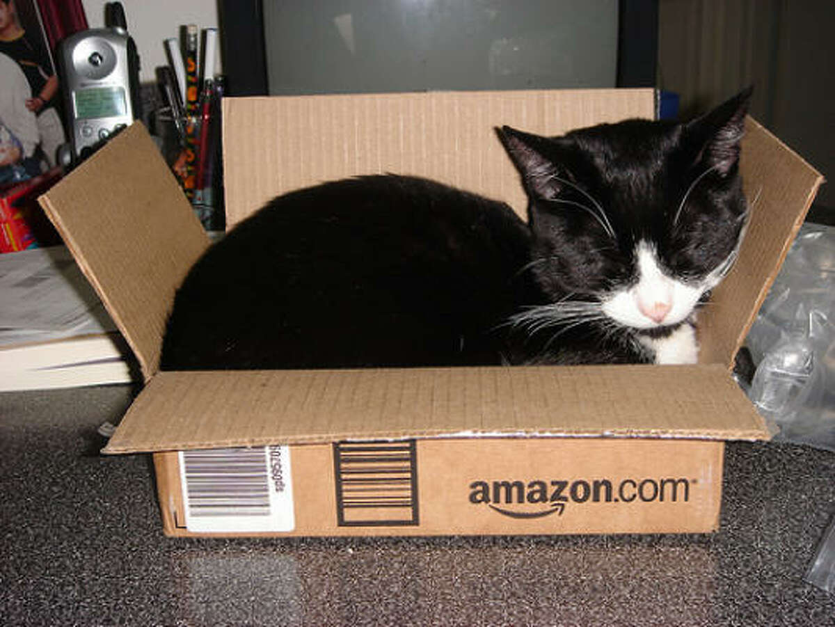 Real cats prefer Amazon boxes