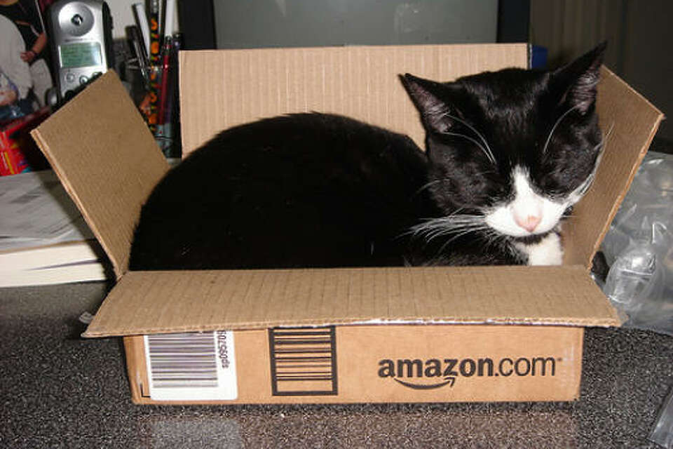 Amazon cat box hotsell