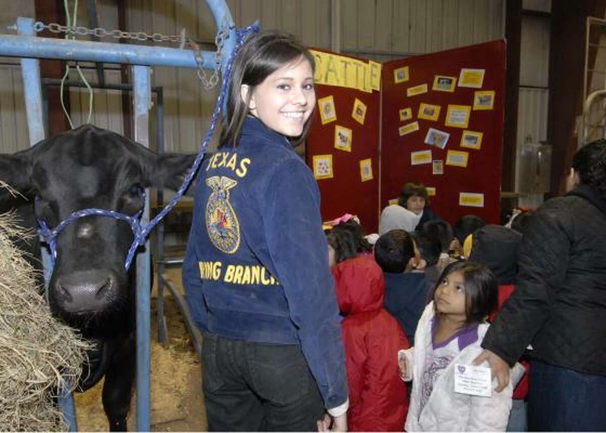 Spring Woods junior Bria Cardenas and "Paisley" (a breeding heifer) participate in a cattle demonstration for Ridgecrest Elementary 1st graders.