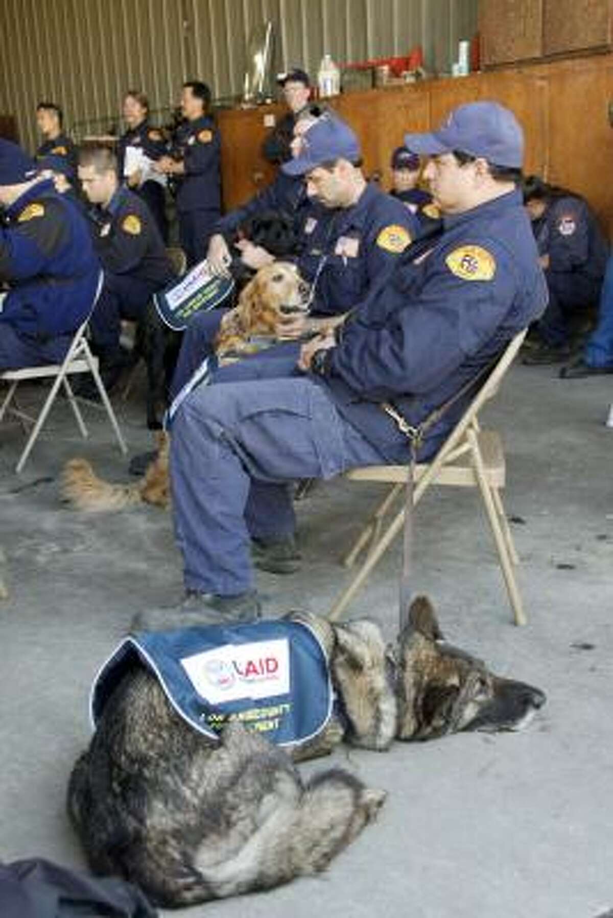 No. 3. German Shepherd: Maverick and his handler listen to a briefing Jan. 13 as the Los Angeles County Fire Department's Task Force 2 Search and Rescue team prepare leave for Haiti.