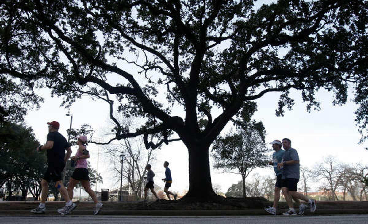 Runners pass the tree lined University Blvd. at mile 11 during the Chevron Houston Marathon.