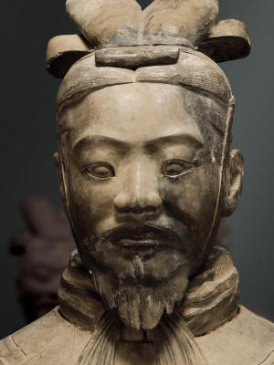 Terra Cotta Warriors Bring Archaeological Wonder To Houston