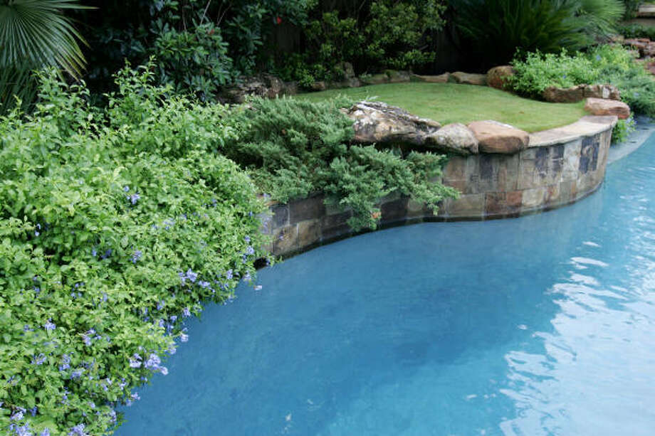 Poolside plants A few do's and don'ts Houston Chronicle