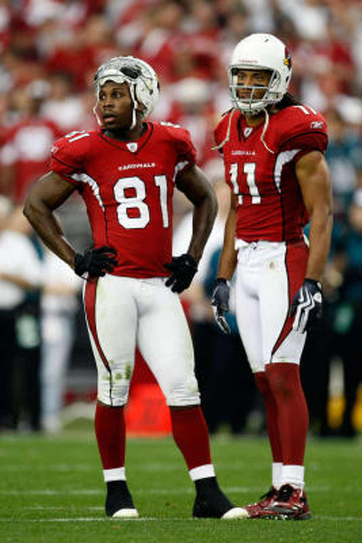 Jacksonville, FL; Sept 20, 2009 - Arizona Cardinals wide receiver Anquan  Boldin (81) in action against the Jacksonville Jaguars at Jacksonville  Municipal Stadium in Jacksonville, FL. (Icon Sportswire via AP Images Stock  Photo - Alamy