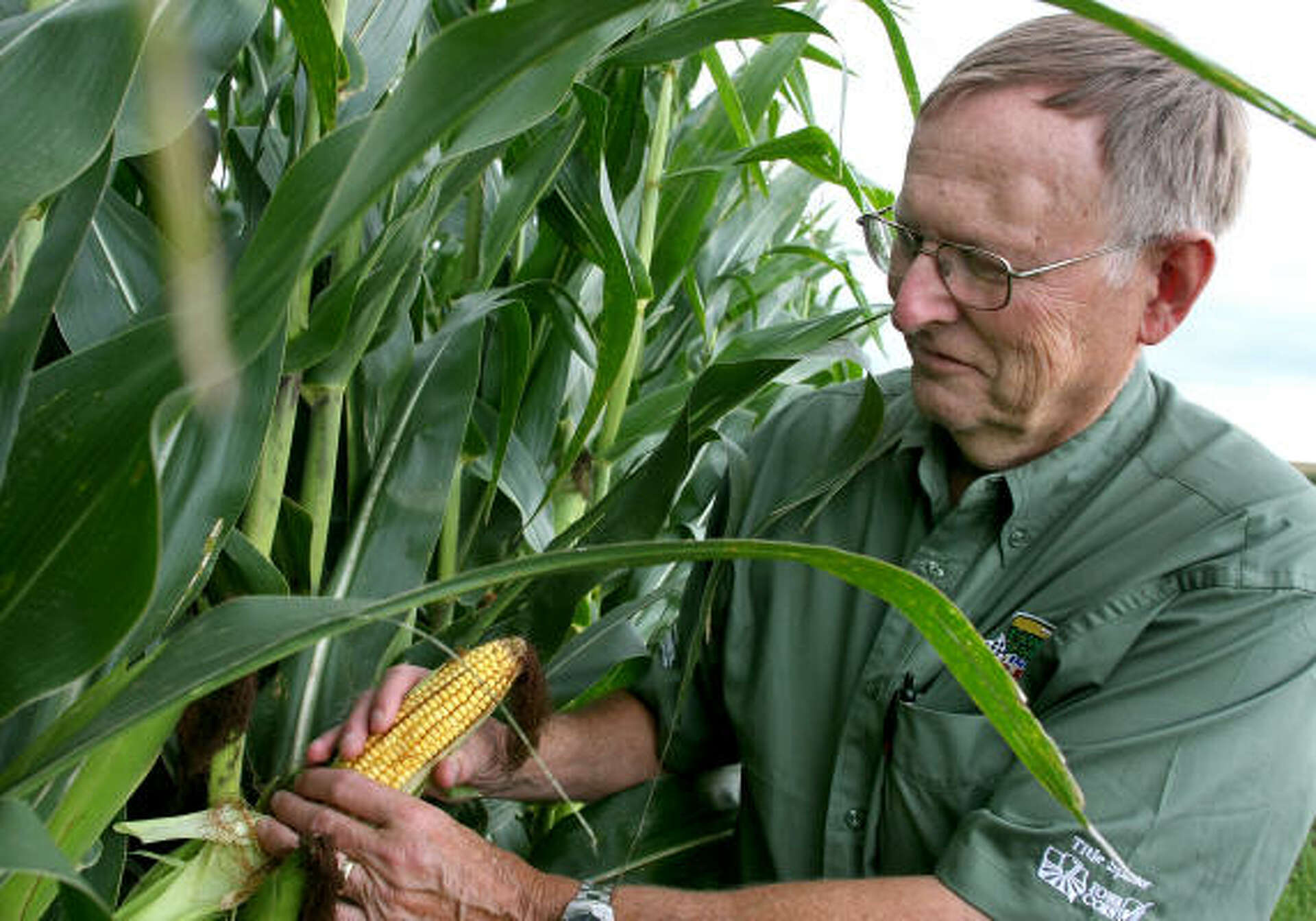 Valero embraces corn ethanol