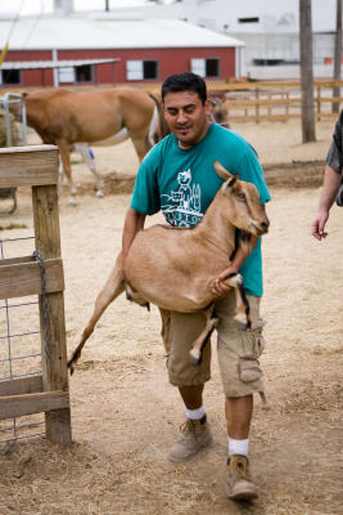 Houston SPCA helps place farm animals in new homes (w/photos)