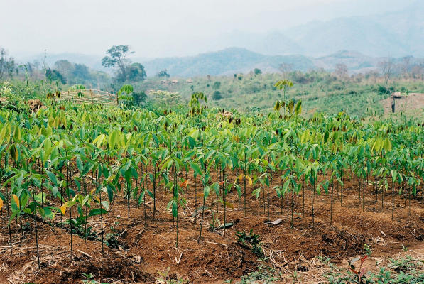 Fordlandia by Greg Grandin