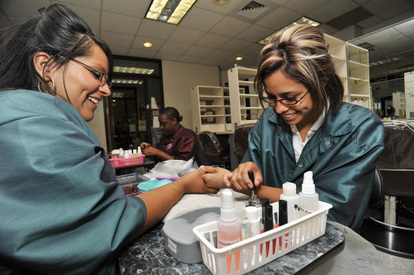 utah cosmetology license verification utah cosmetology license verification