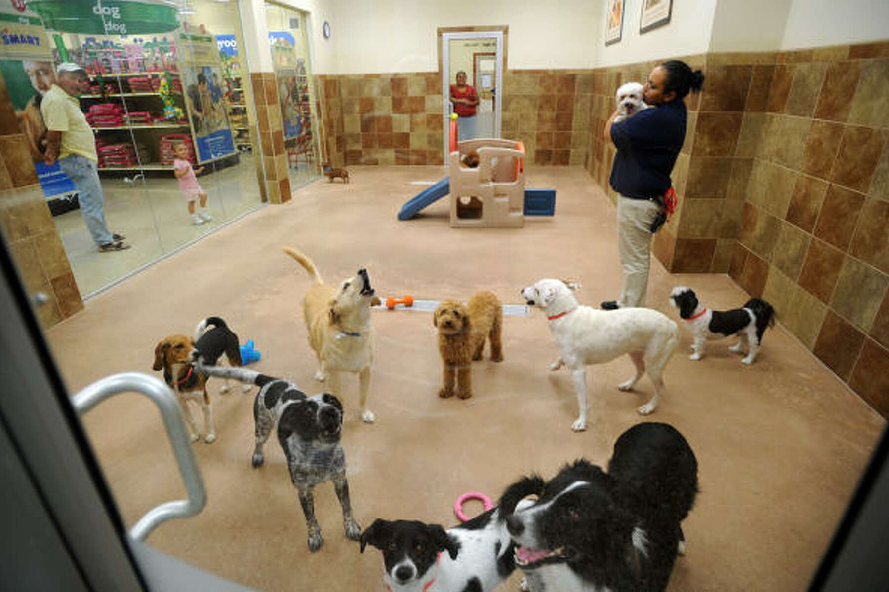 petsmart bunker hill