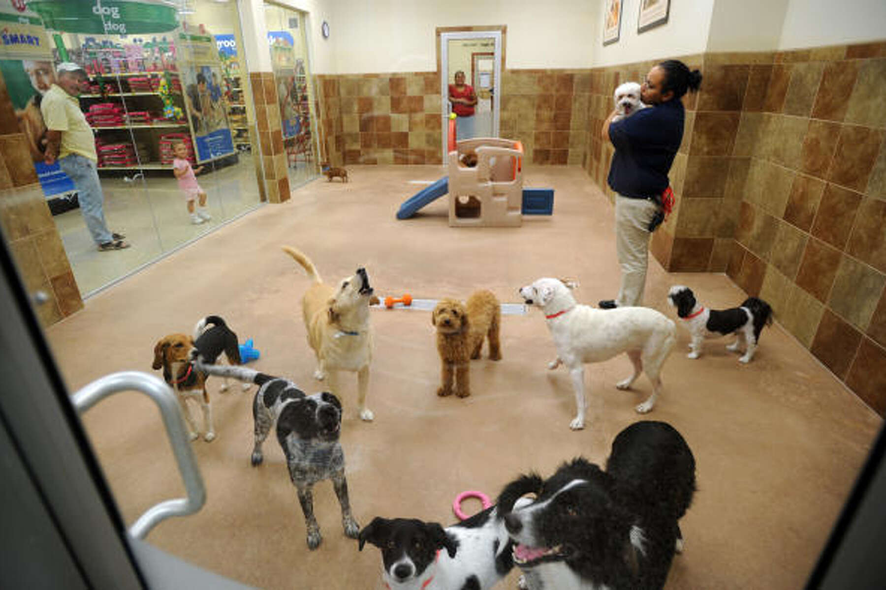 petsmart bunker hill