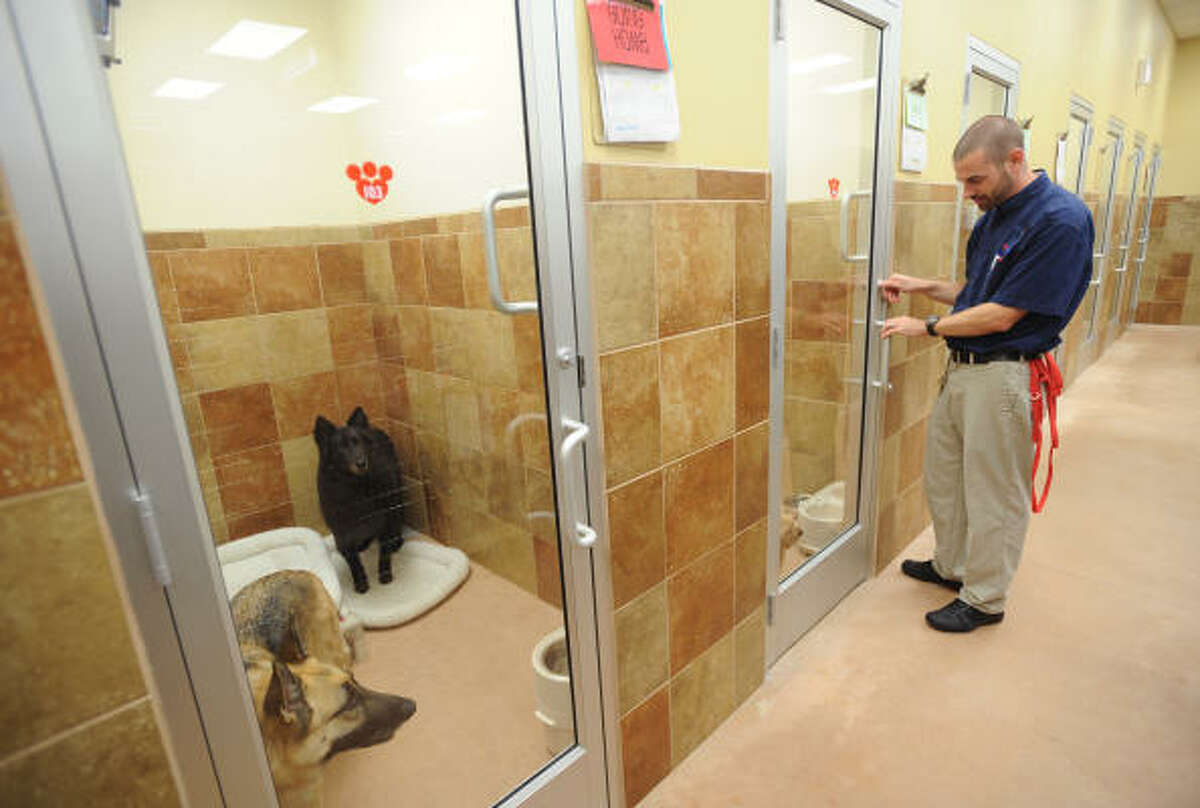 A pet's home away from home