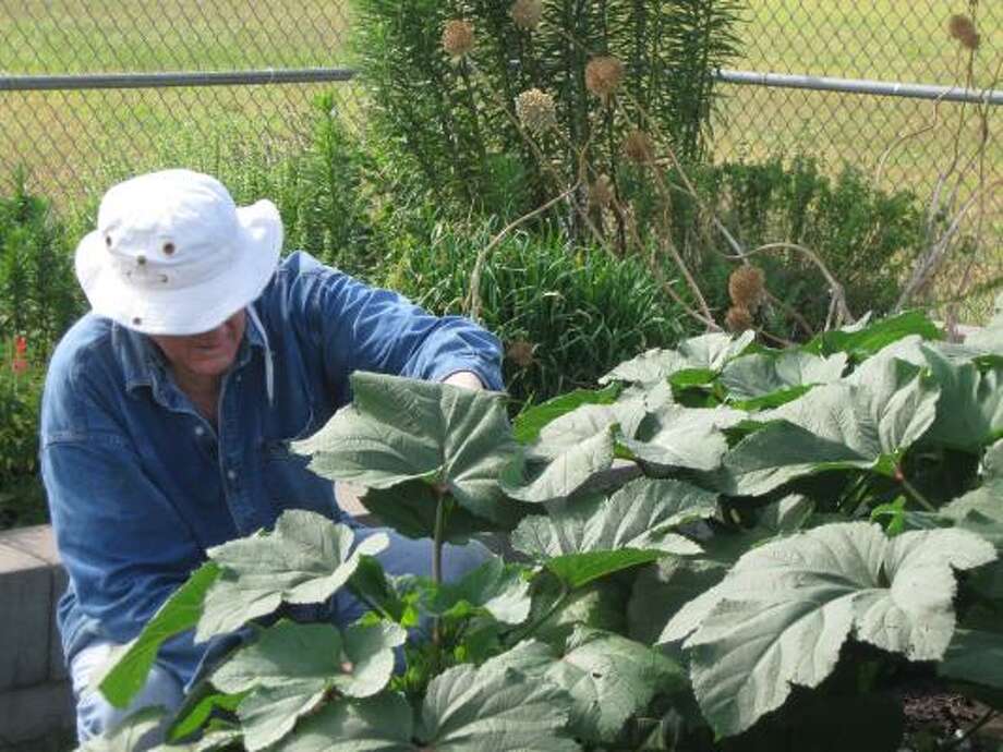 Gardeners Can Learn From Challenger 7 Community Garden Story