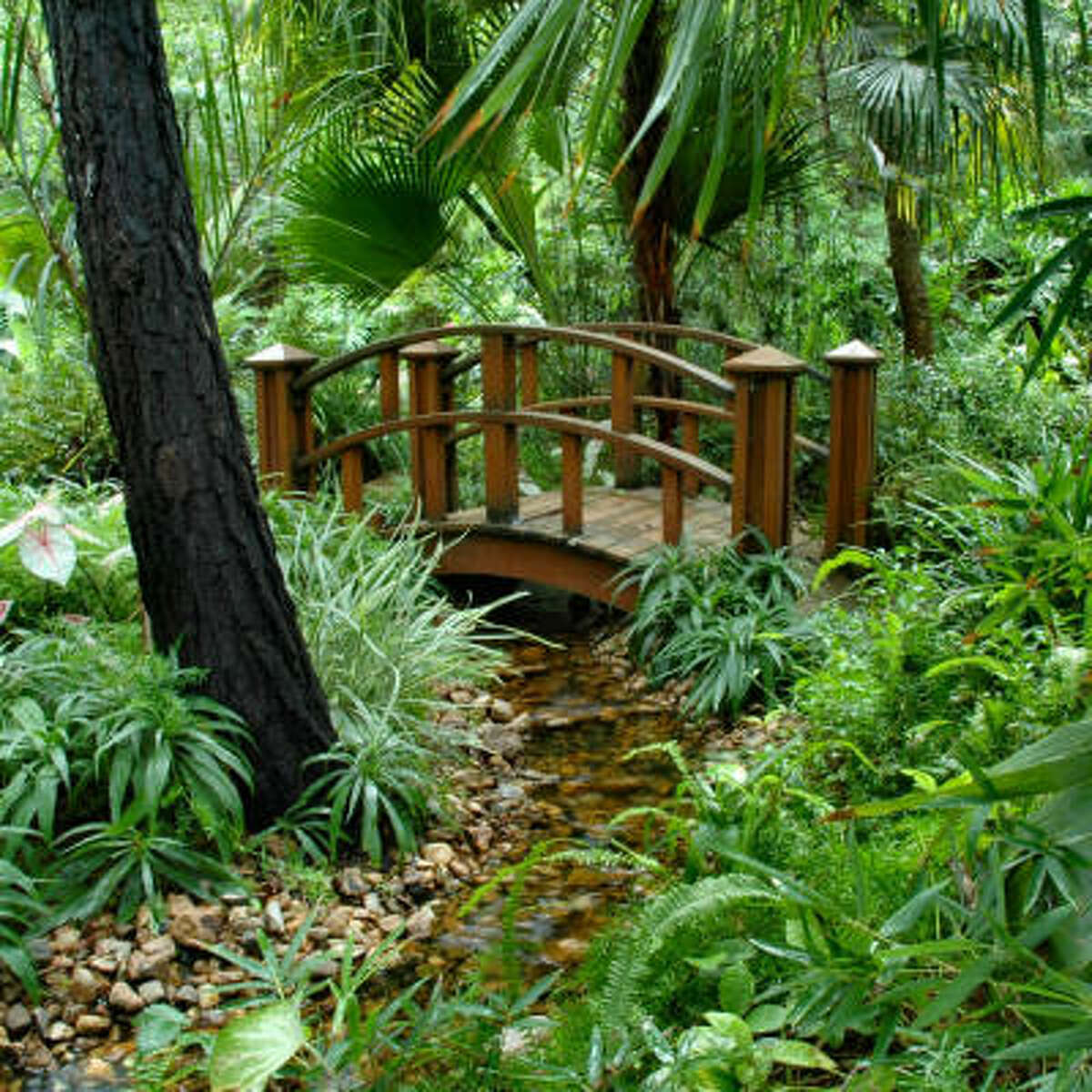 Water garden tour this weekend