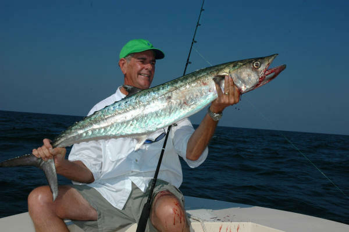 Tompkins Conservation aided king mackerel comeback
