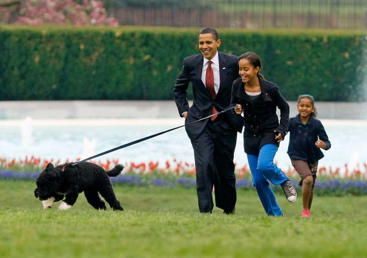 President Obama fulfilled a campaign promise to his daughters by getting them a dog. Bo, who came from a Texas breeder of Portuguese water dogs, bounced into the First Family’s lives in April.