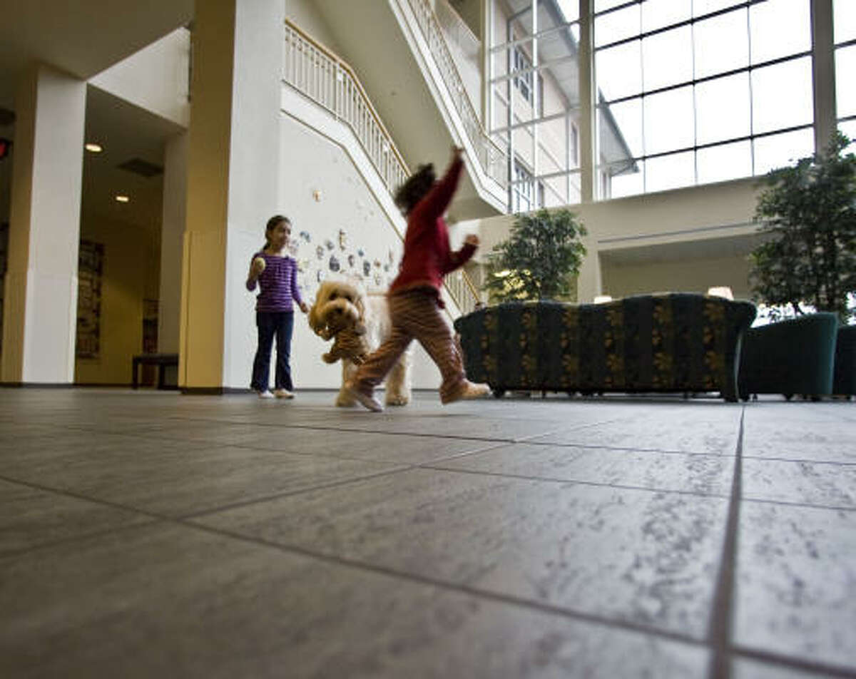 Mogie of Ronald McDonald House