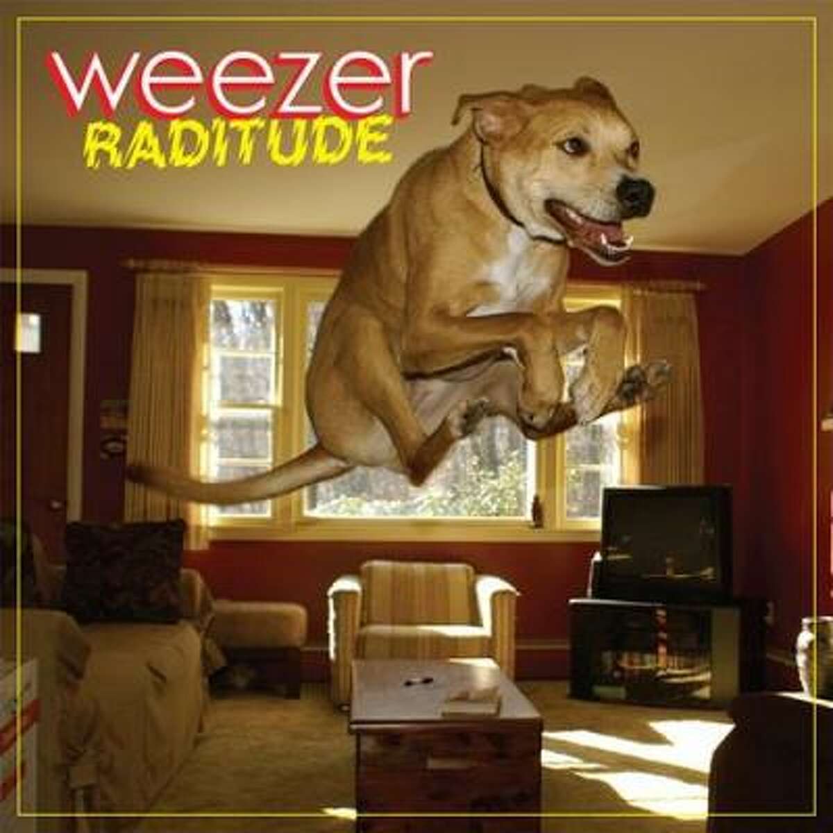 Weezer's album due in stores Oct. 27 features a photo of an amazing high-flying dog that a reader sent to National Geographic magazine. How does it rank with past album covers featuring dogs? Check out the following lineup. Is your favorite here?