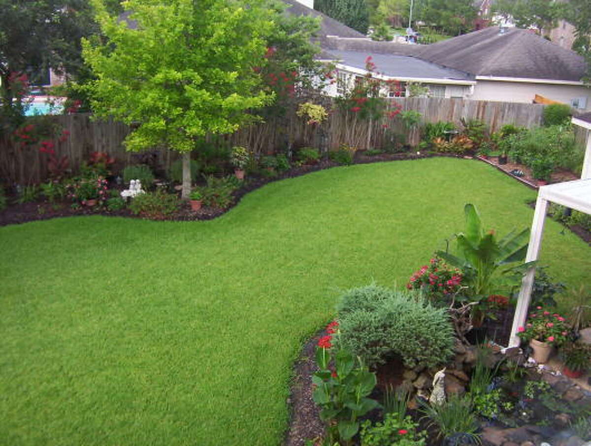 NO BORDERS: This beautiful back lawn has no borders where it meets the landscaped areas. Can't you just see that grass eying the lush, improved garden soil? Lazy Gardener on high-maintenance traps | Submit your garden photos | Houston Plant Database | HoustonGrows.com