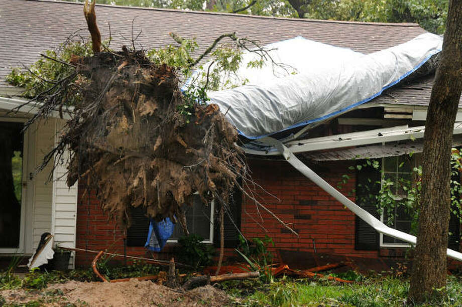 A tree falls on two houses, on Lilly Boulevard near Thompson Street, in Conroe. The base of the tree landed on one home and the rest landed on the next door neighbor's house. Photo: David Hopper, For The Chronicle