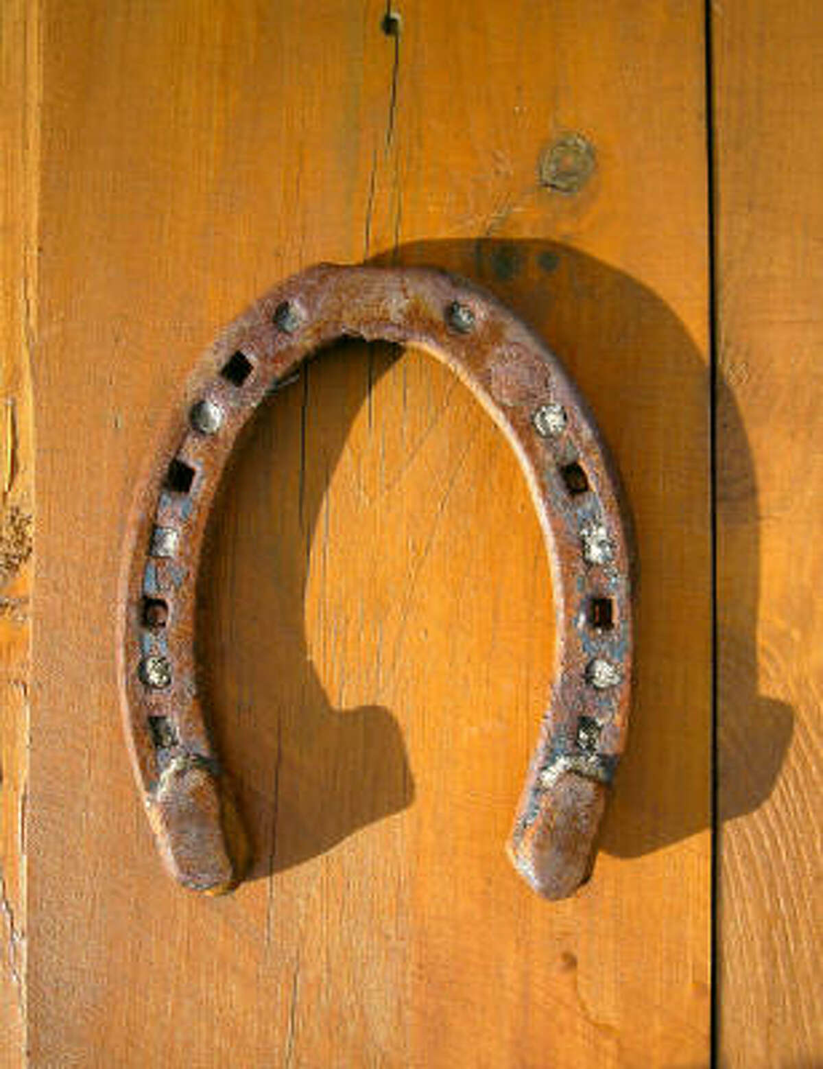 Hanging a horseshoe upside down lets the good luck drain out.
