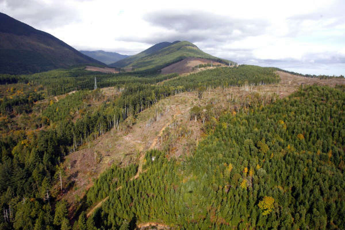 But a Hearst investigation found Scouting councils have pursued dozens of high-impact, commercial timber harvests – some of them in or near forests with sensitive resources or habitat for protected plant and animal species.