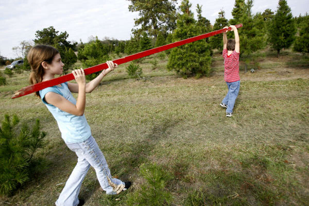Meet the ecofriendly Christmas tree